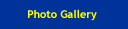 Photo Gallery